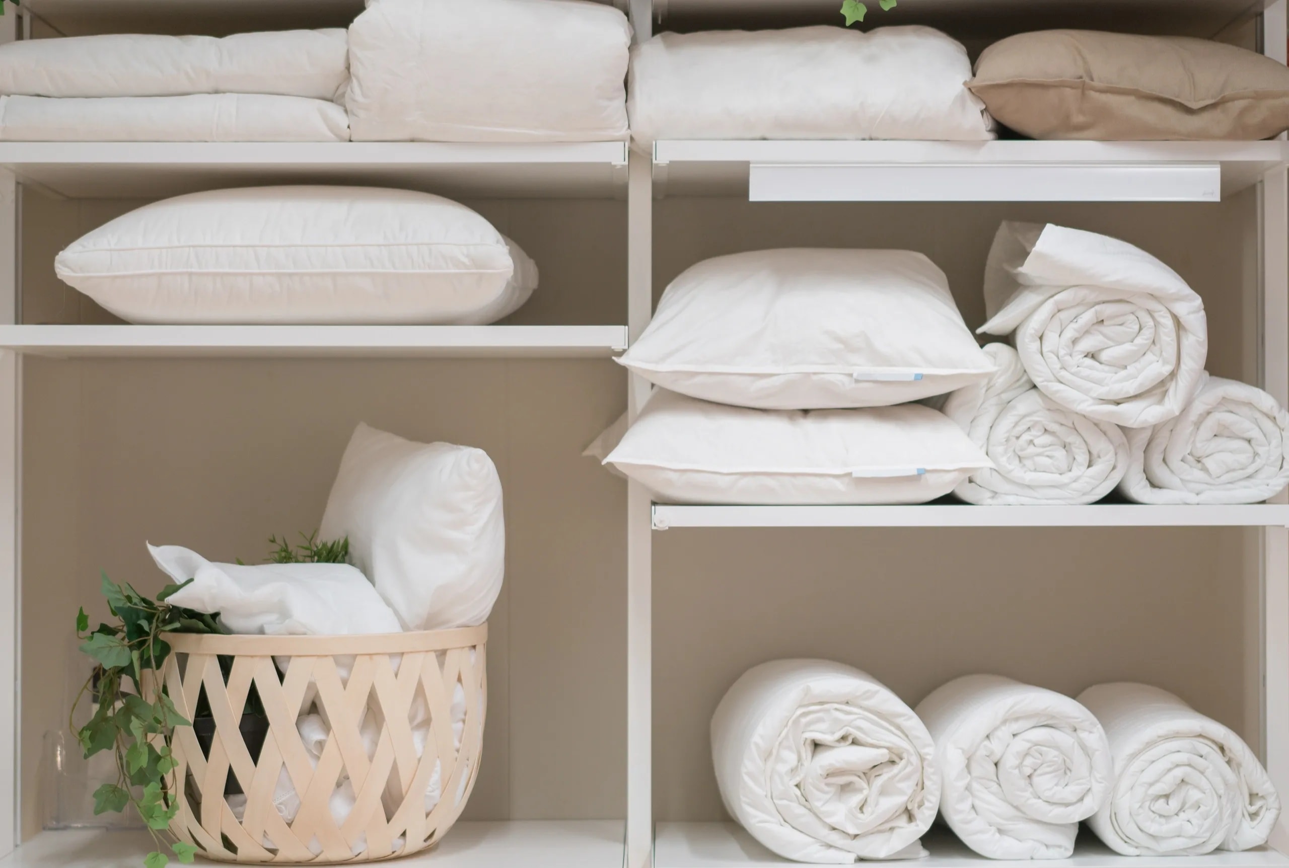 Specialty garment care